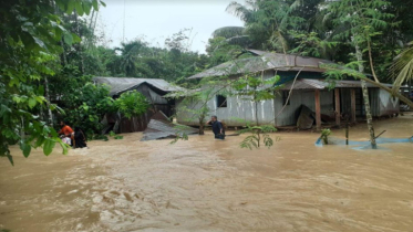 বন্যায় শেরপুরে এ পর্যন্ত ৭ জনের মৃত্যু