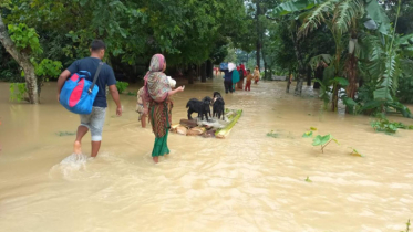 ময়মনসিংহের চার উপজেলায় পানিবন্দি লক্ষাধিক মানুষ চরম দুর্ভোগে