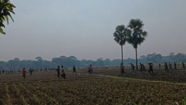 গোপালগঞ্জে সংঘর্ষ : আহত অর্ধশতাধিক