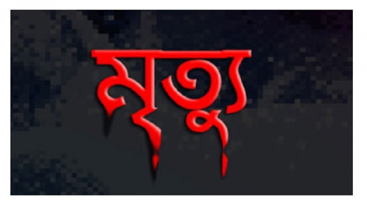 খাদ্যের বিষক্রিয়ায় ২ সহোদর শিশুর মৃত্যু