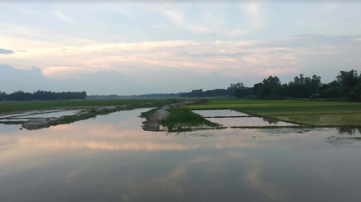 ঠাকুরগাঁওয়ে কৃষিতে সংযুক্ত ১১শ হেক্টর জমি