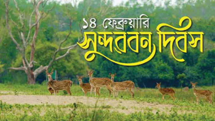 আজ সুন্দরবন দিবস